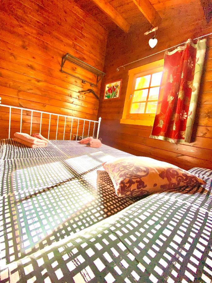 Canary Wild House 2 Carrizal Zewnętrze zdjęcie